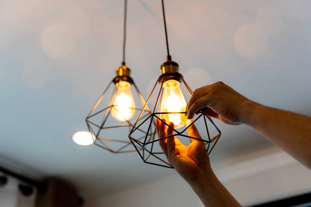 Best Electric Panel Repair  in Janesville, IA
