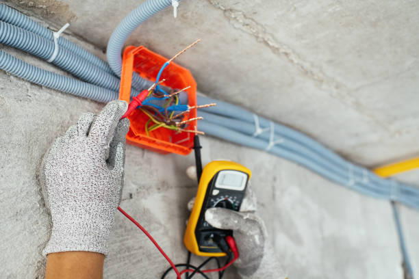 Best Generator Installation Services  in Janesville, IA